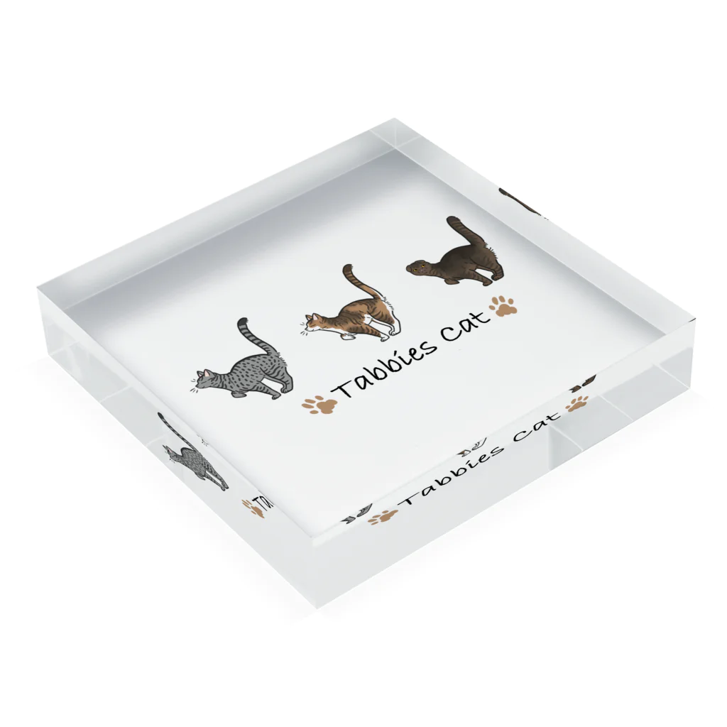 豆つぶのTabbies Cat（タビー系） Acrylic Block :placed flat