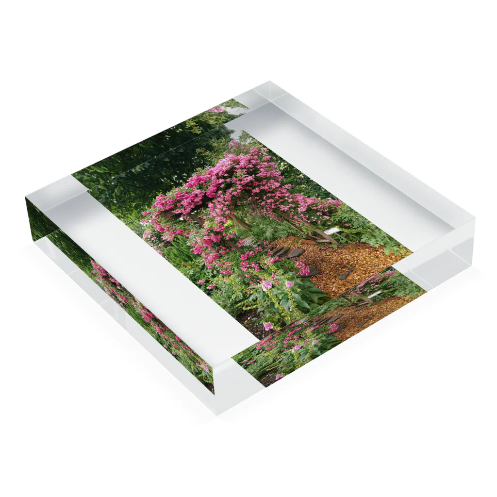 pinkrosegardenのsecret rose garden Acrylic Block :placed flat