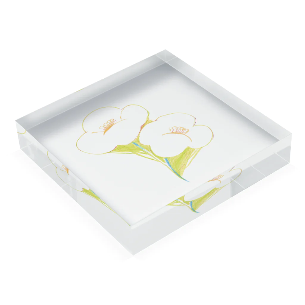 ヒャクブハルコのお花のあわせ Acrylic Block :placed flat