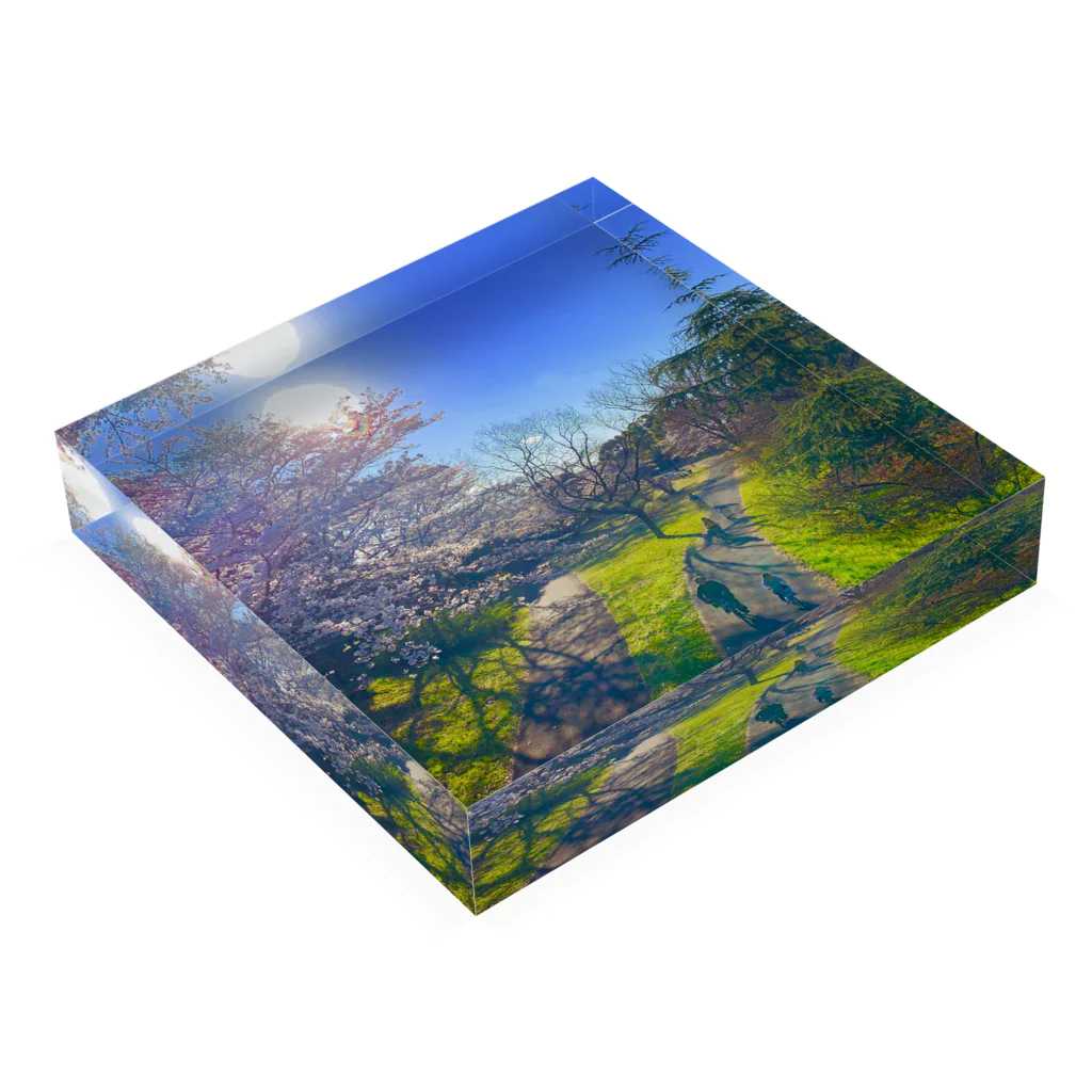 トランサンドの桜道 Acrylic Block :placed flat