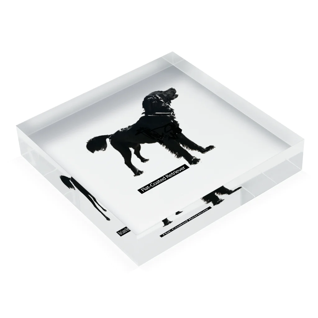 山麓図工室のFlat-Coated Retriever Acrylic Block :placed flat