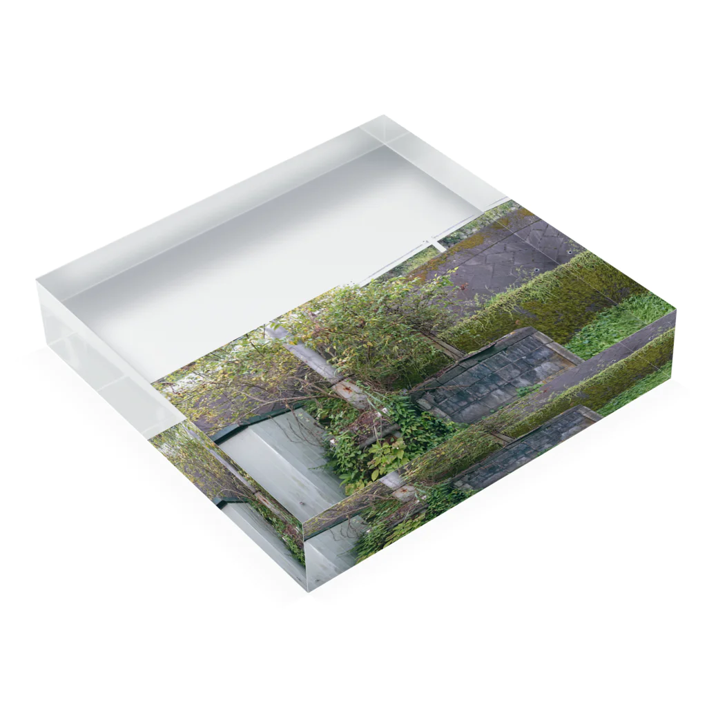 路地と廃墟と緑の裏庭 Acrylic Block :placed flat