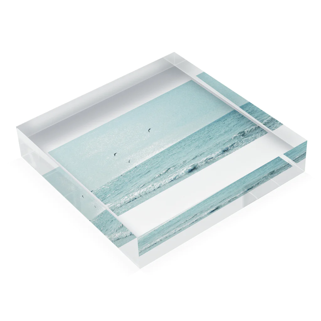 狭いお店の海カラス Acrylic Block :placed flat