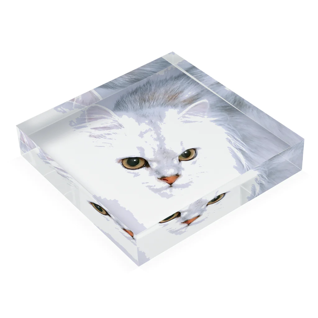 ねこのあんにんのねこのあんにん キリッver. Acrylic Block :placed flat