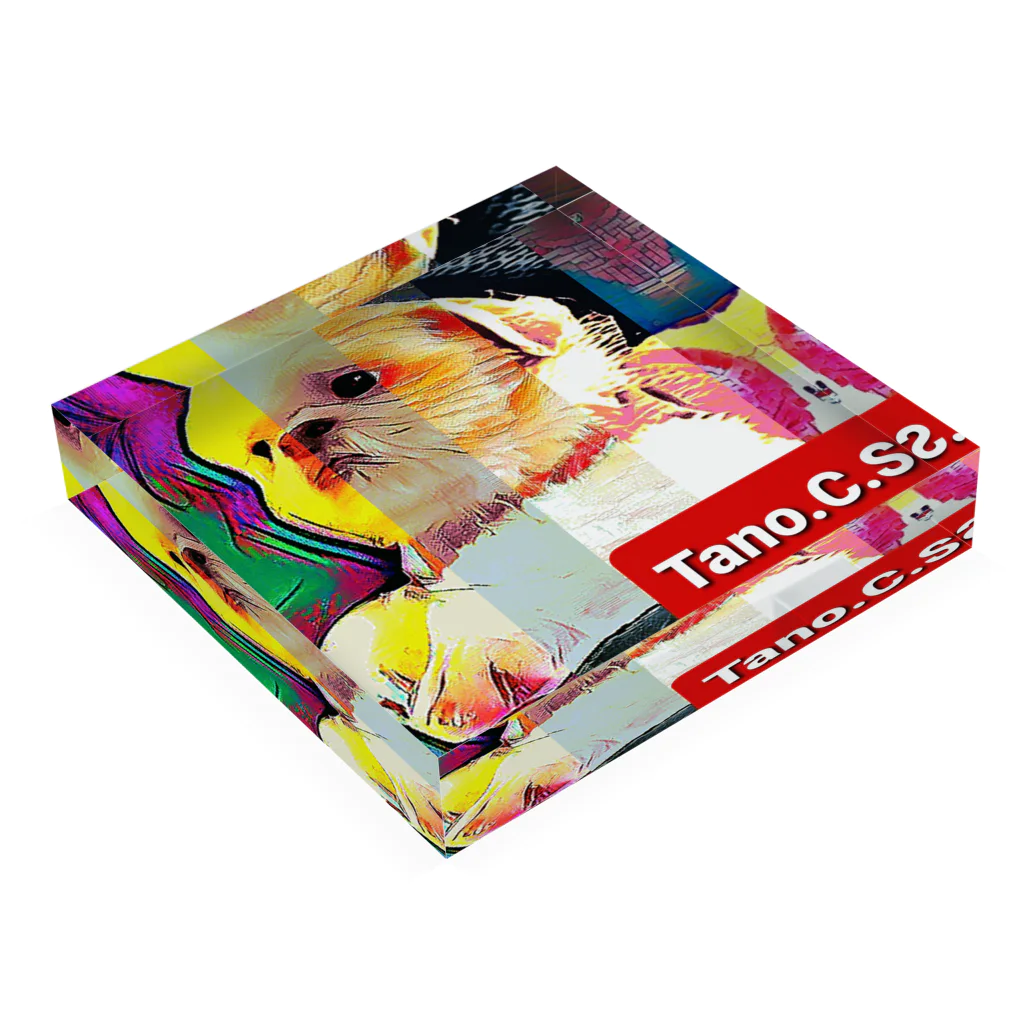 Happy　Xmas　Tano.C.S　のTano.C.S　（たのしーさーby沖縄）   Acrylic Block :placed flat