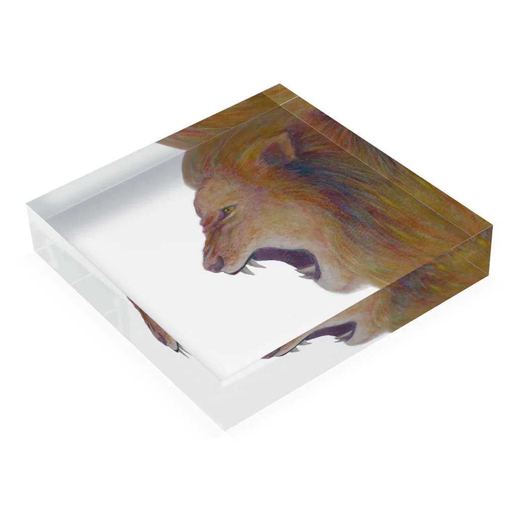 フジハラミノリのlion01 Acrylic Block :placed flat