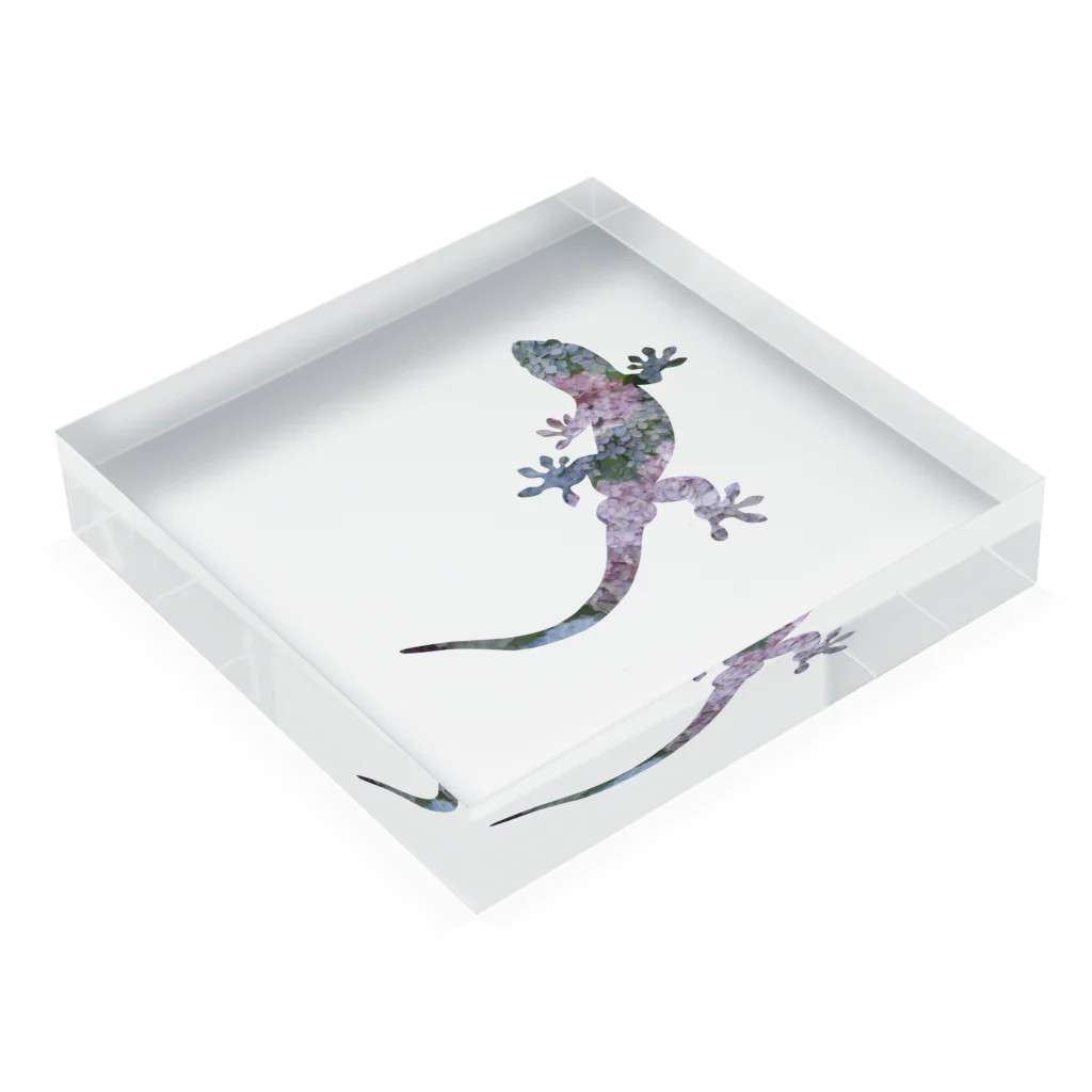 りっちゃん🦖のニホンヤモリ×紫陽花 Acrylic Block :placed flat