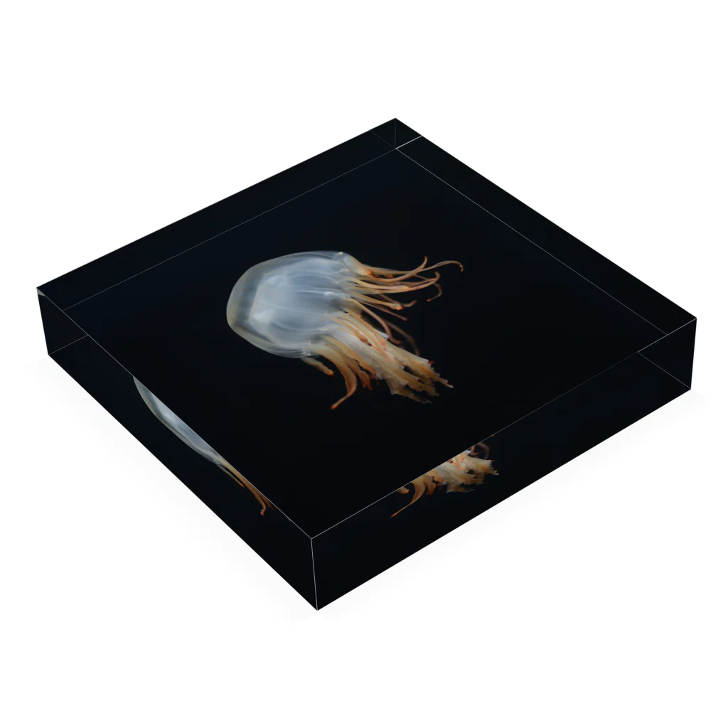 Astral_DecoyのJerryFish Acrylic Block :placed flat