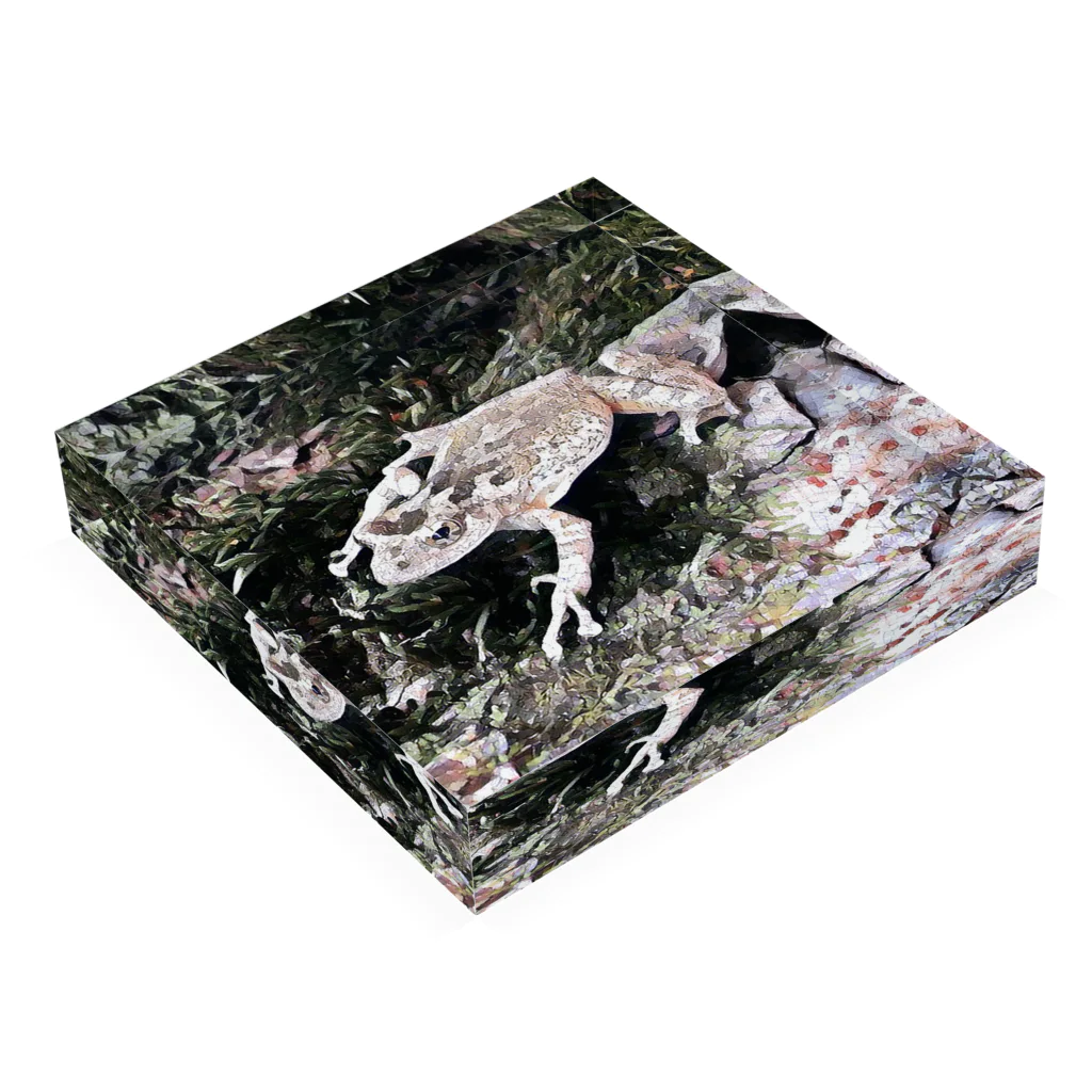Fantastic FrogのFantastic Frog -Calm Version- Acrylic Block :placed flat