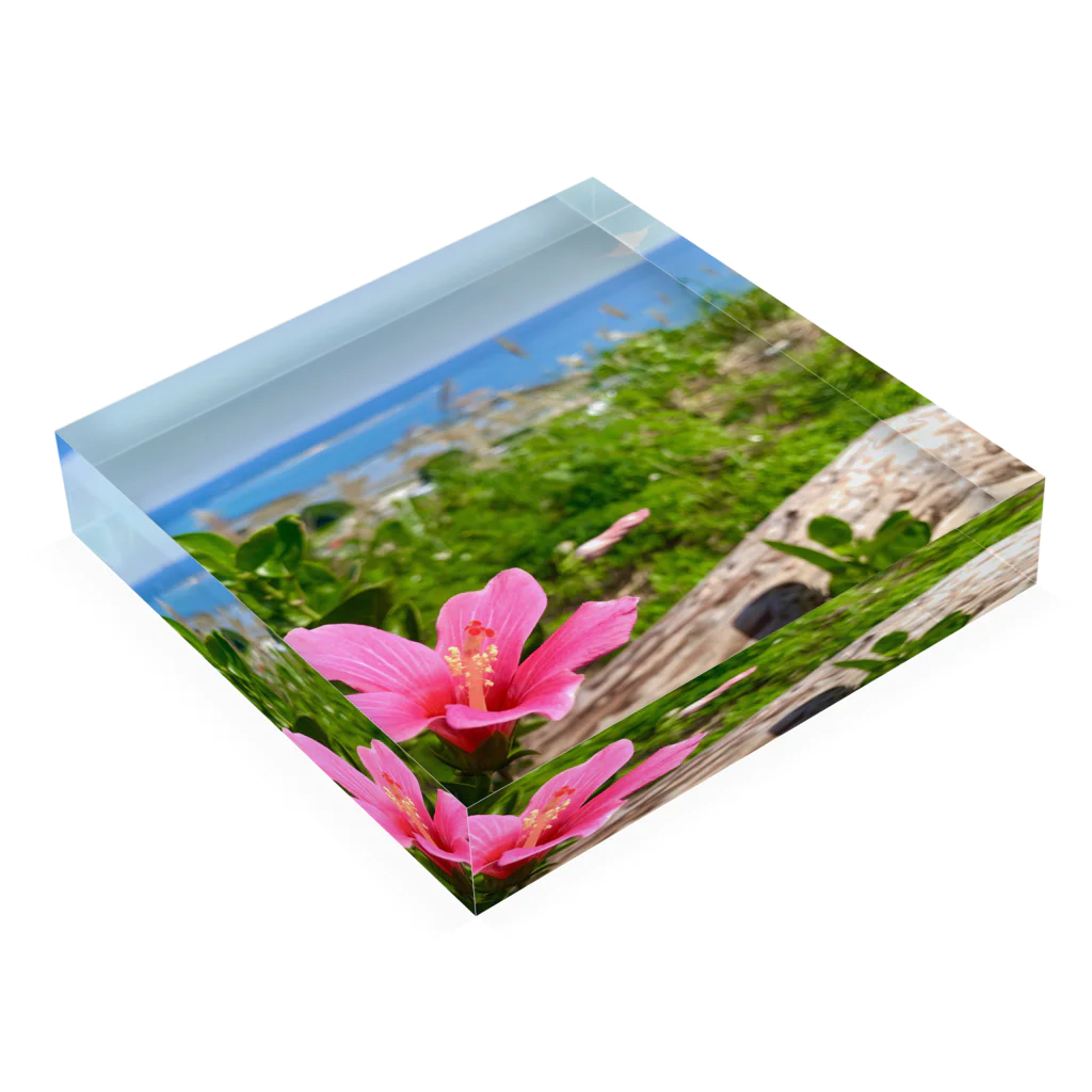 RyuJapan0106の沖縄の花 アクリルブロックの平置き