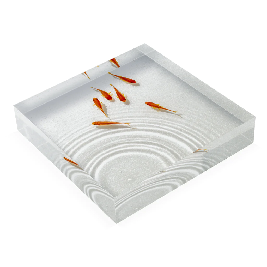 HOKO-ANの泳ぐ金魚 Acrylic Block :placed flat