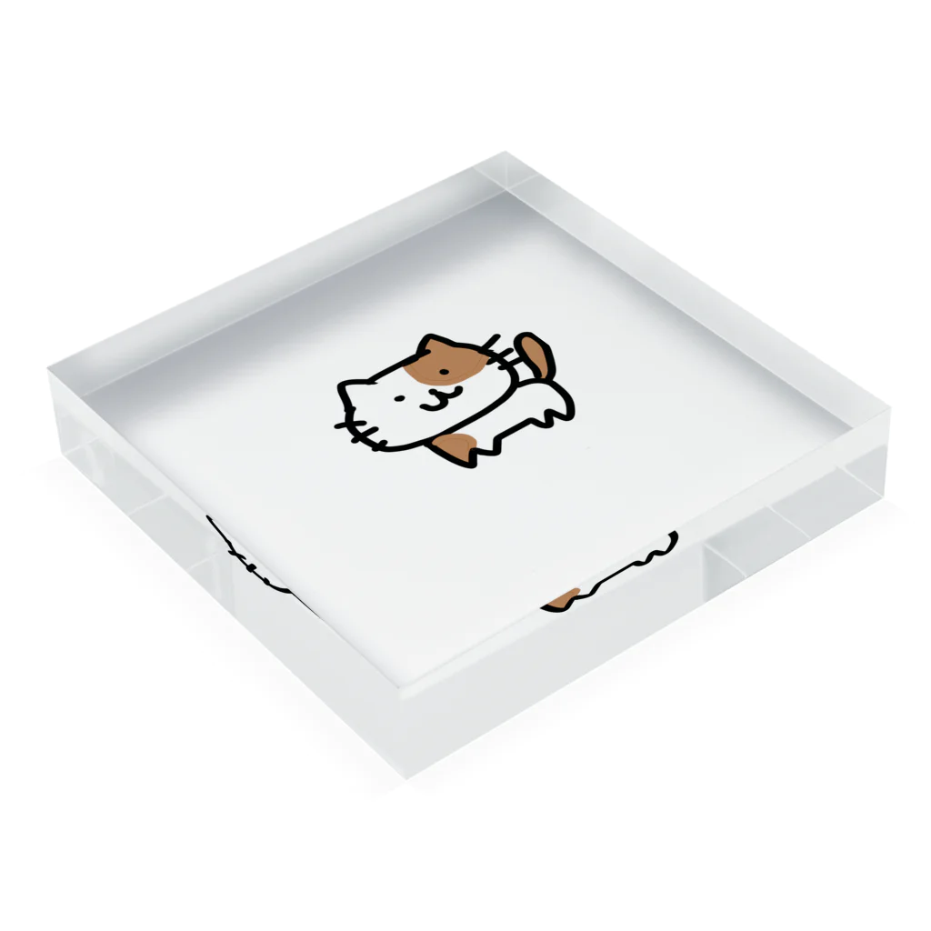 yuipppのしろちゃねこ Acrylic Block :placed flat