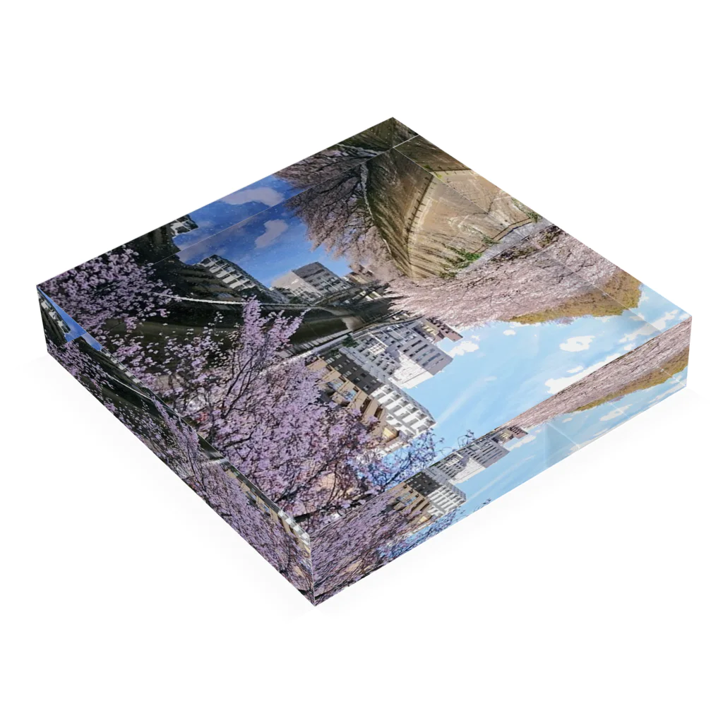 古春一生(Koharu Issey)の桜降る川空へ。 Acrylic Block :placed flat