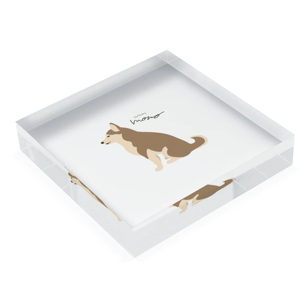 3びきのおいぬさまのshibainu momo Acrylic Block :placed flat