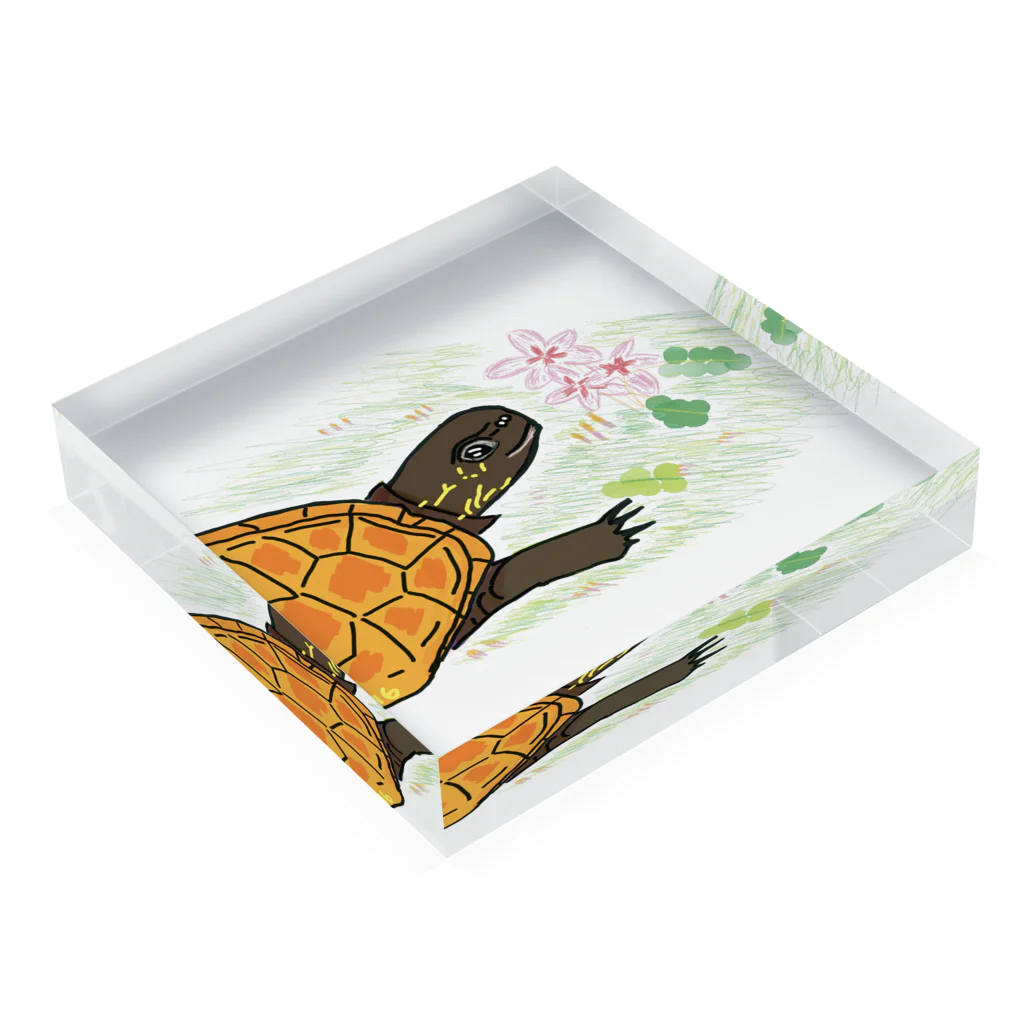 316(MIHIRO)のクサガメと花 Acrylic Block :placed flat