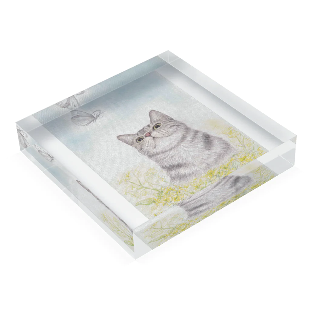 soraclaraの菜の花畑のくらら Acrylic Block :placed flat