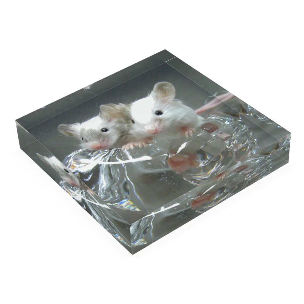 mahiruのLittle mice rides a glass bird Acrylic Block :placed flat
