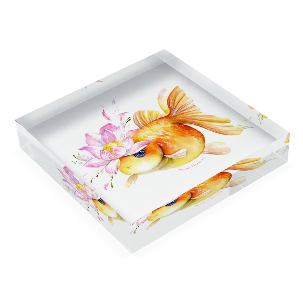 晴金魚-harukingyo-の花宿り 清 Acrylic Block :placed flat