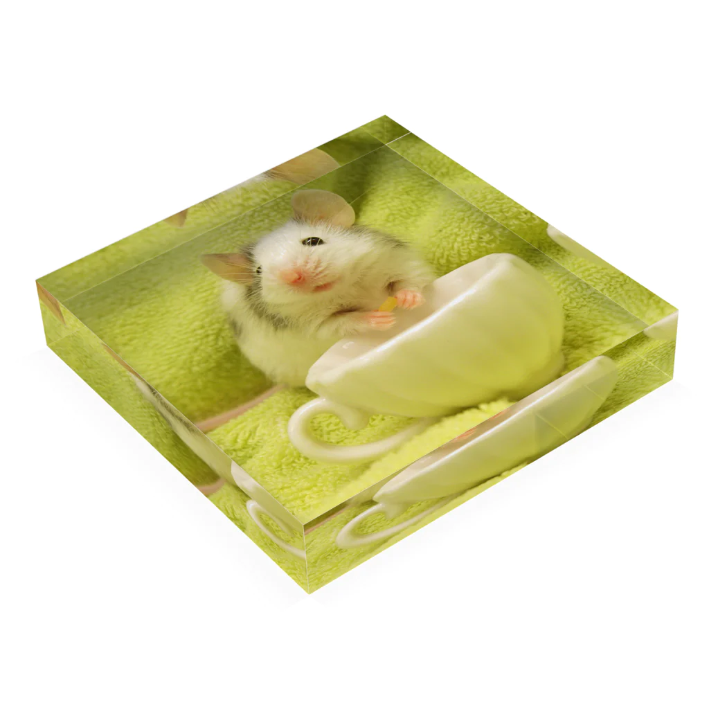 mahiruのFancy Mouse Acrylic Block :placed flat