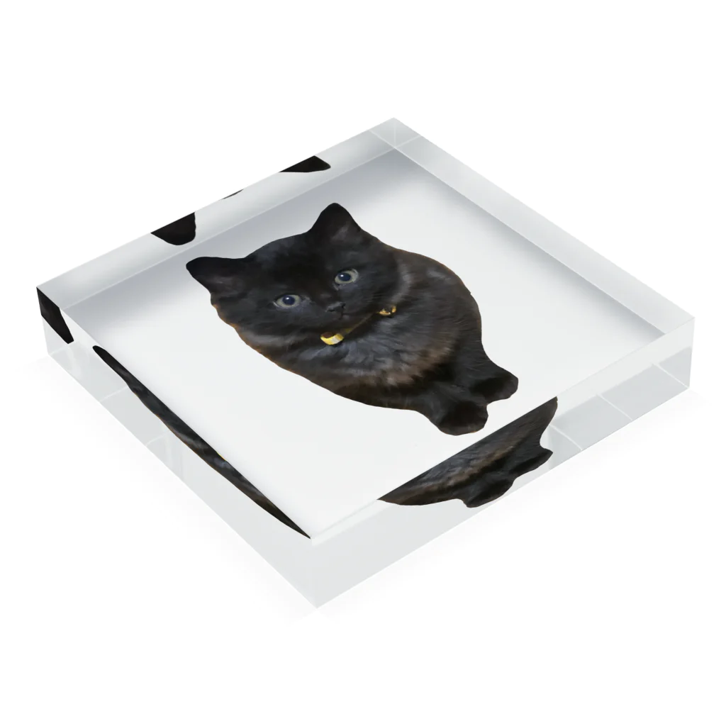 ねこまちランドの子猫のレオン Acrylic Block :placed flat