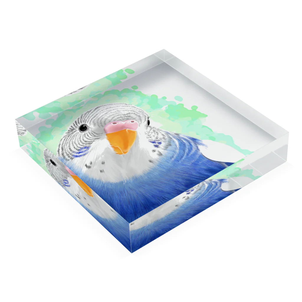 まめるりはことりのセキセイインコ　オパーリン大【まめるりはことり】 Acrylic Block :placed flat