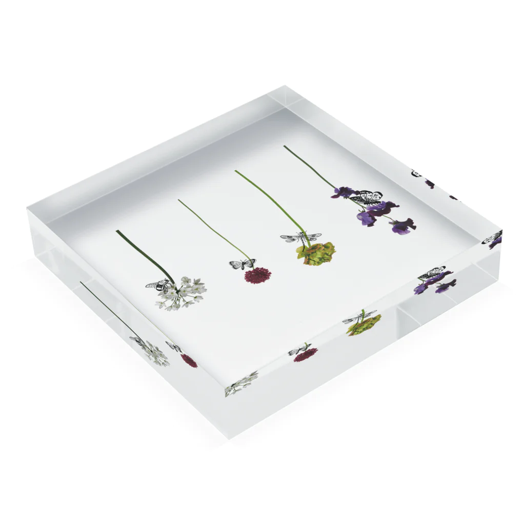 tottoの花と虫 Acrylic Block :placed flat