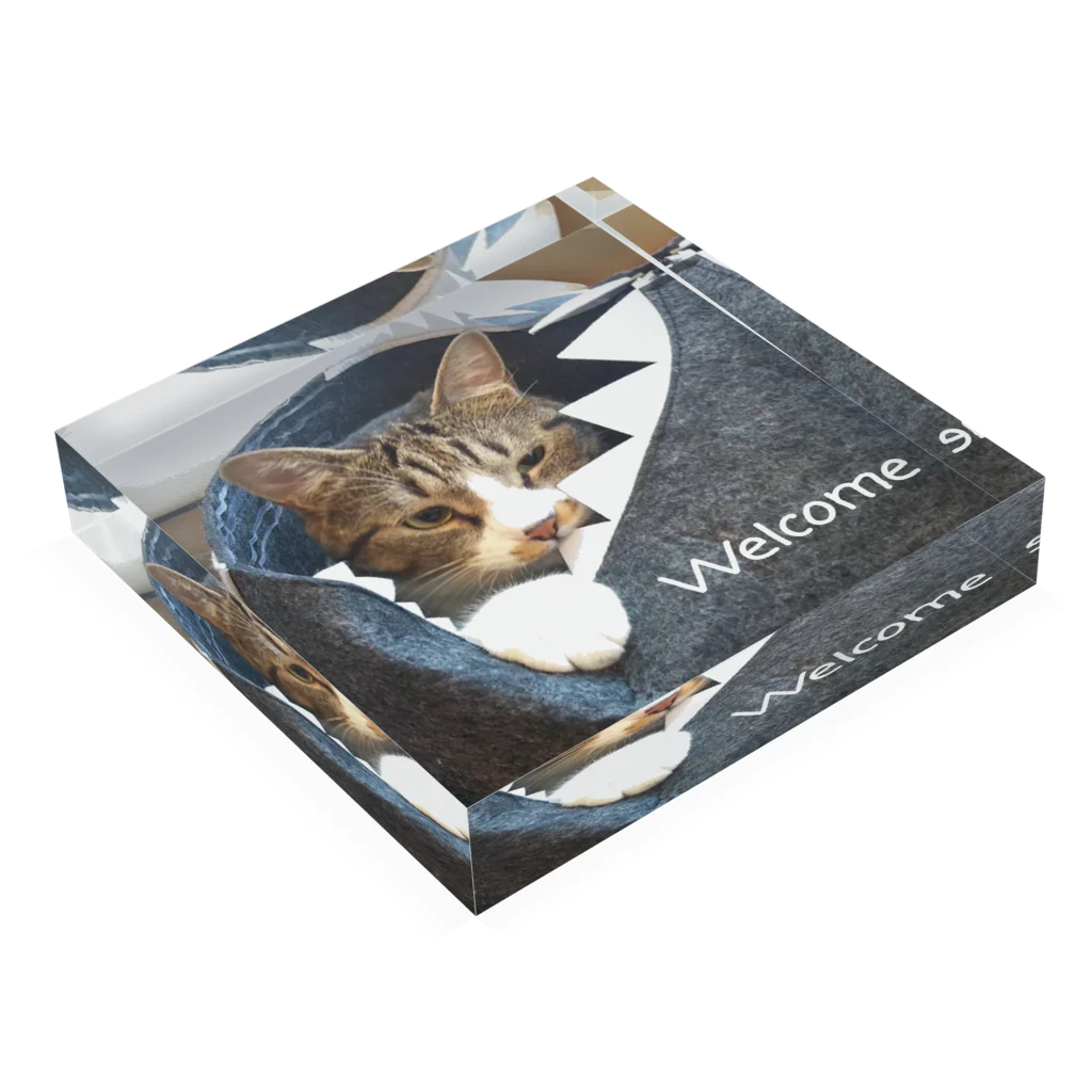 noricone shopのサメの中からコンニチハ猫 Acrylic Block :placed flat