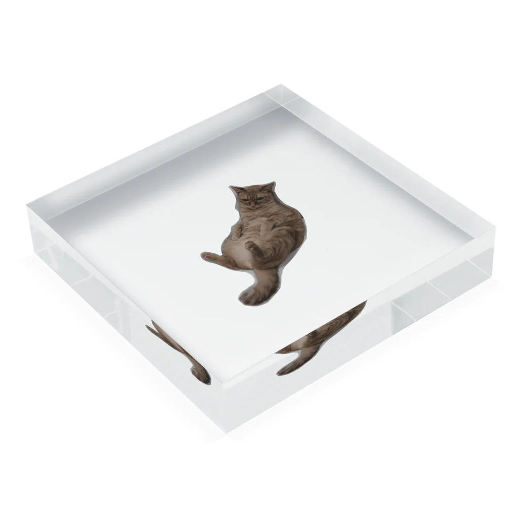 白湯の人の家のネコ Acrylic Block :placed flat