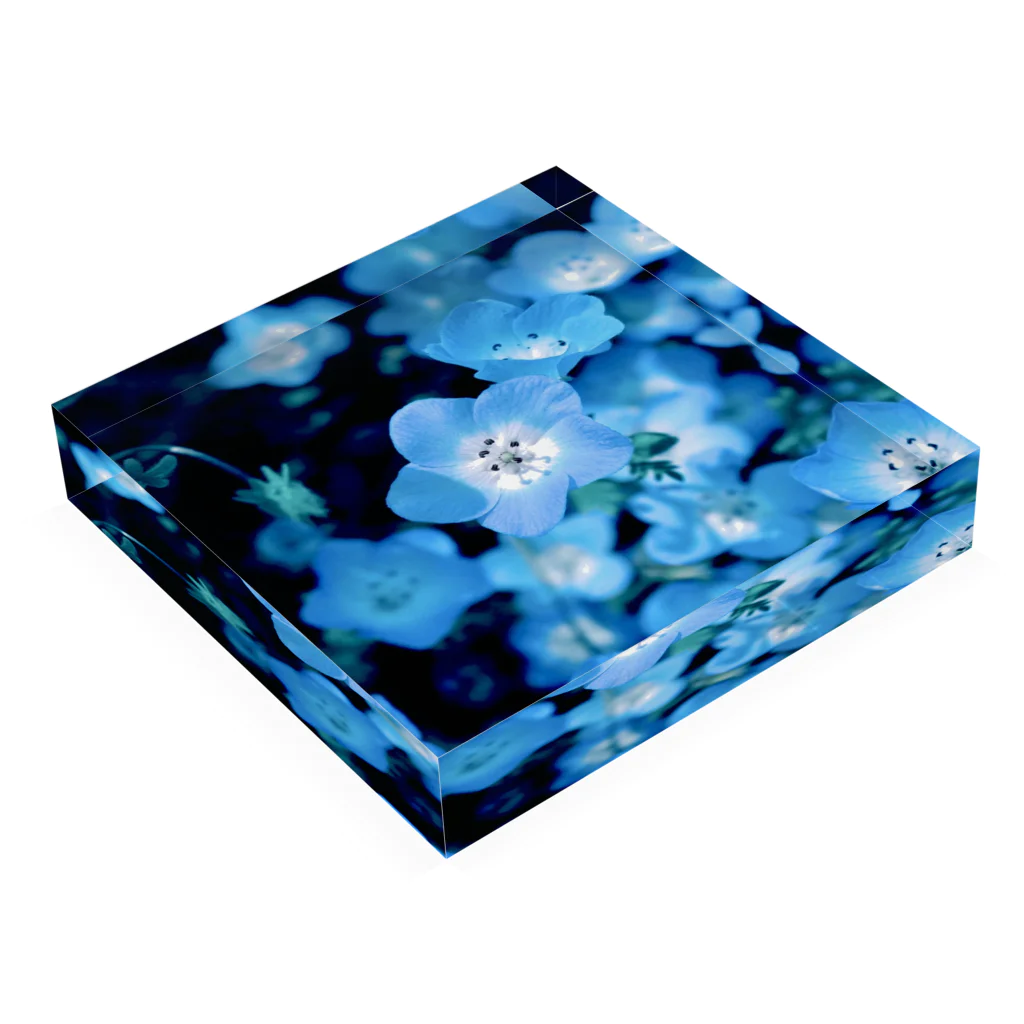 marihoのblue star Acrylic Block :placed flat