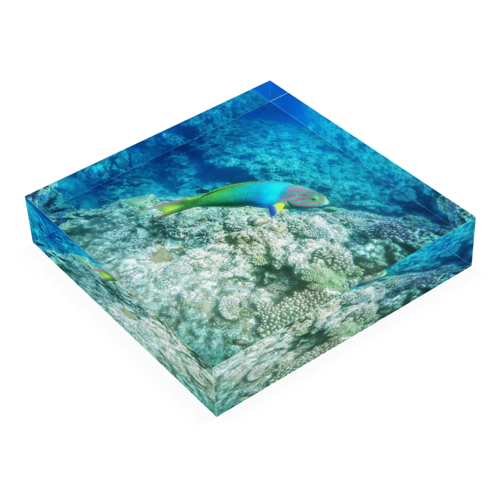 world-traveler1のDiving1 Acrylic Block :placed flat