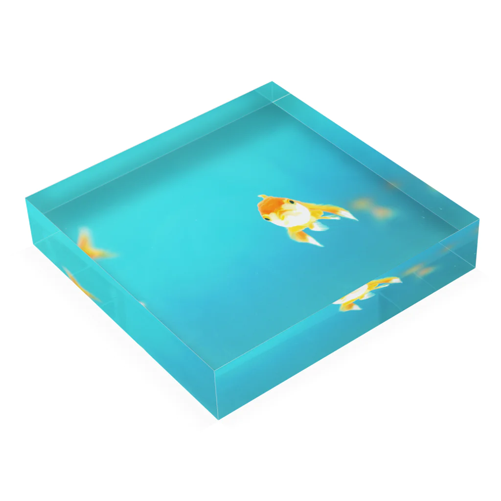 Petrichorの金魚 B Acrylic Block :placed flat