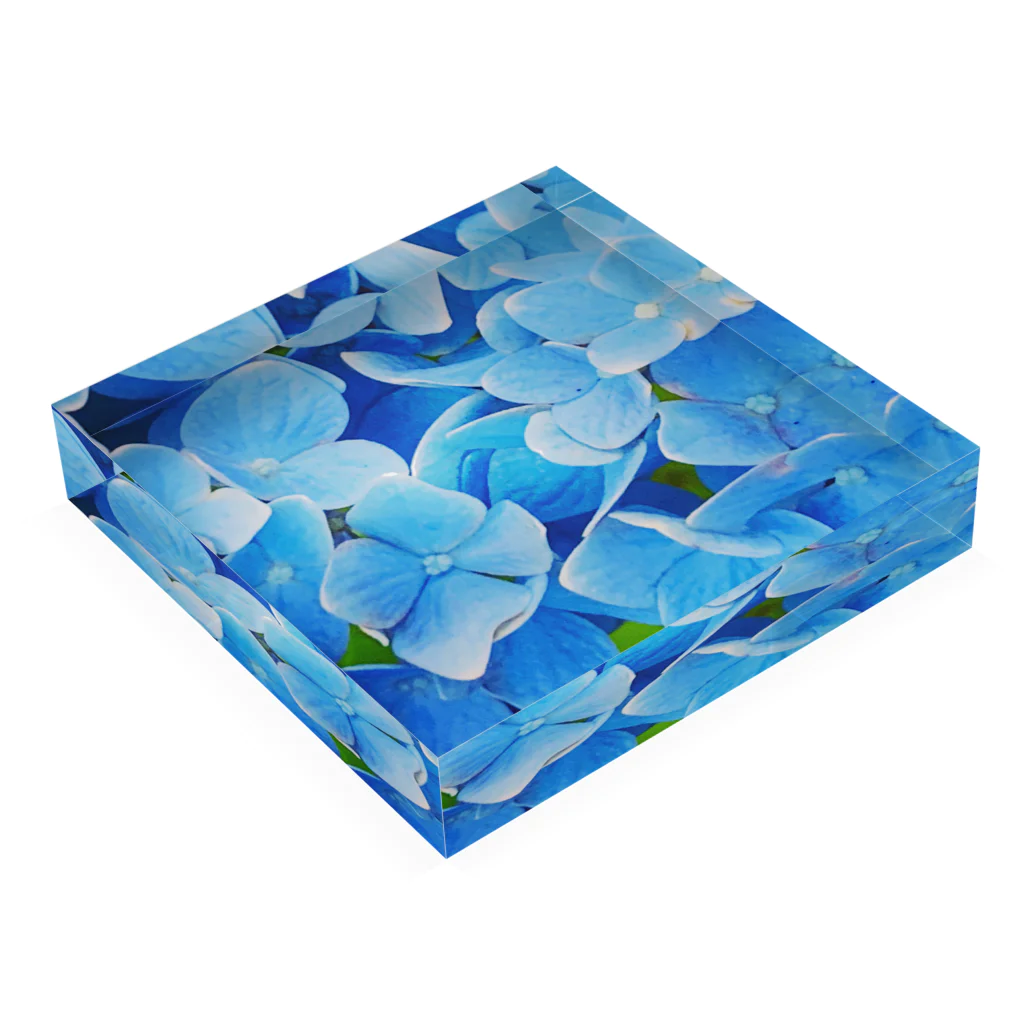 nyonyum☻の紫陽花 Acrylic Block :placed flat