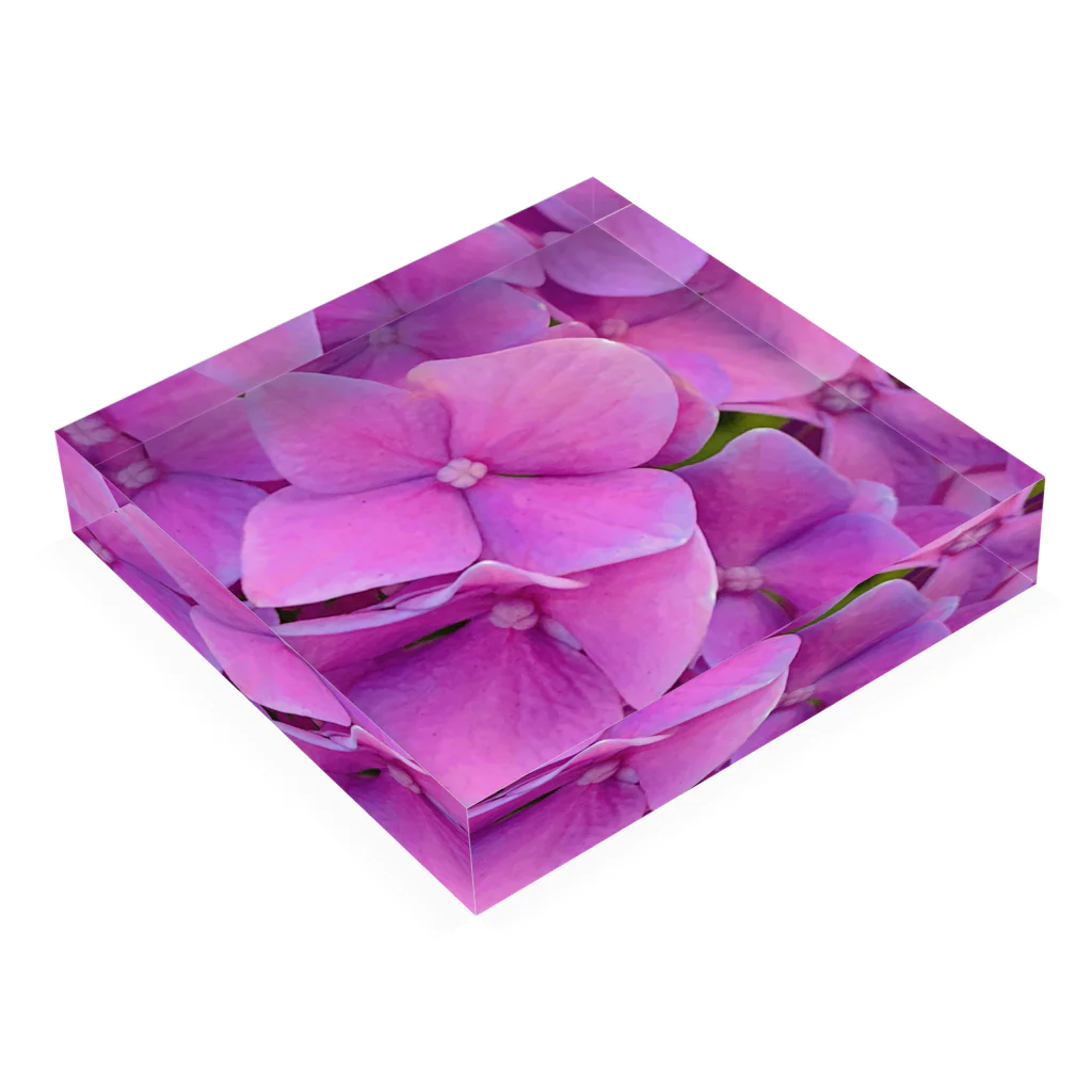 nyonyum☻の紫陽花。 アクリルブロックの平置き