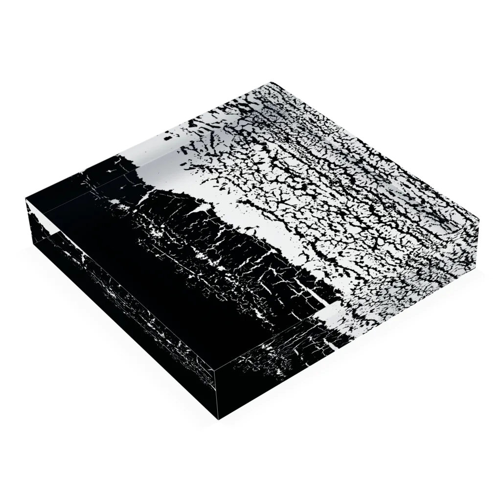 アート・塗装ひび割れ「白と黒」 / Ovaland ( asayokawase )の アート・塗装ひび割れ「白と黒」 / Ovaland ( asayokawase )の
