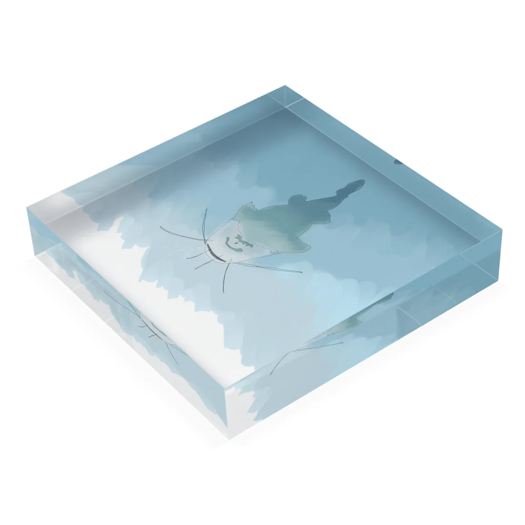 azk1のswim Acrylic Block :placed flat