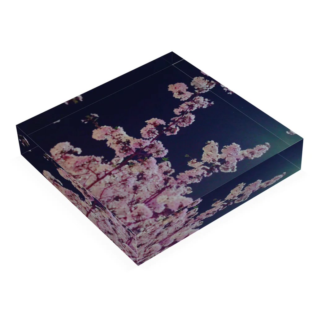 きゅーあぐショップの夜桜 Acrylic Block :placed flat