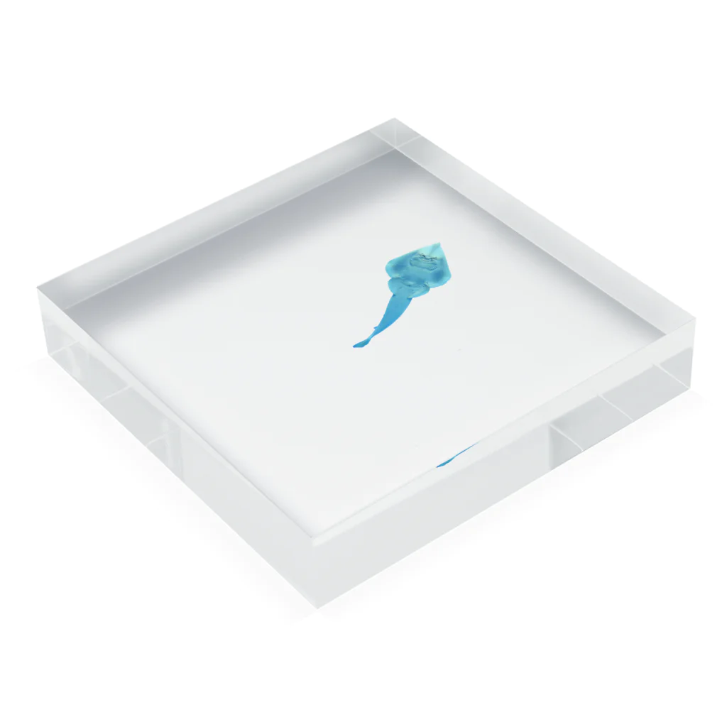 MTCの裏面 Acrylic Block :placed flat