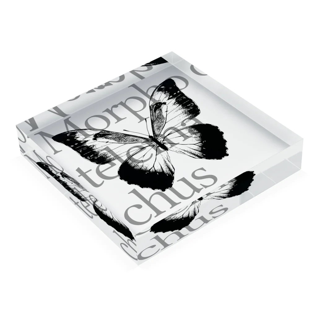 NEROのMorpho telemachus Acrylic Block :placed flat