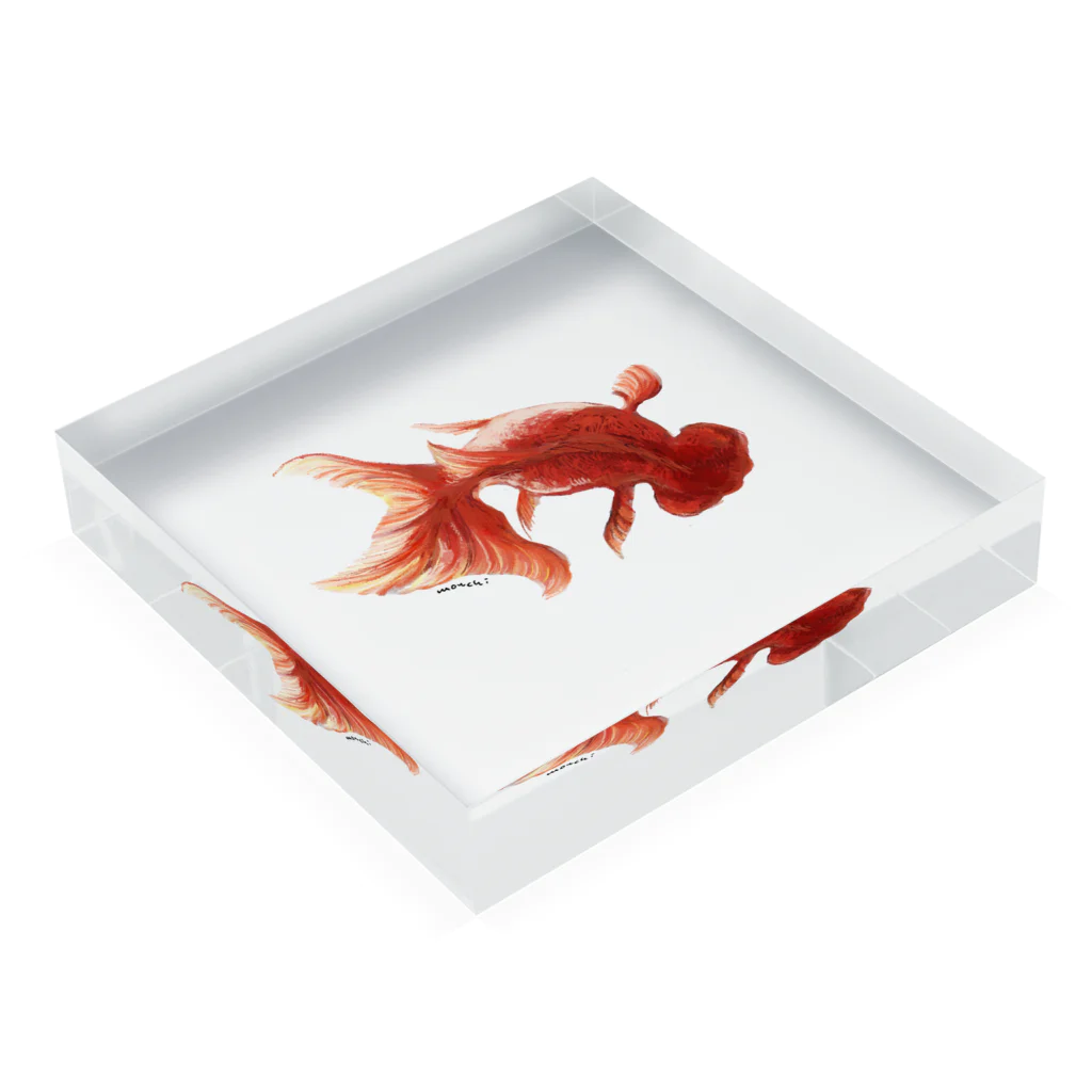 もんちの金魚 Acrylic Block :placed flat