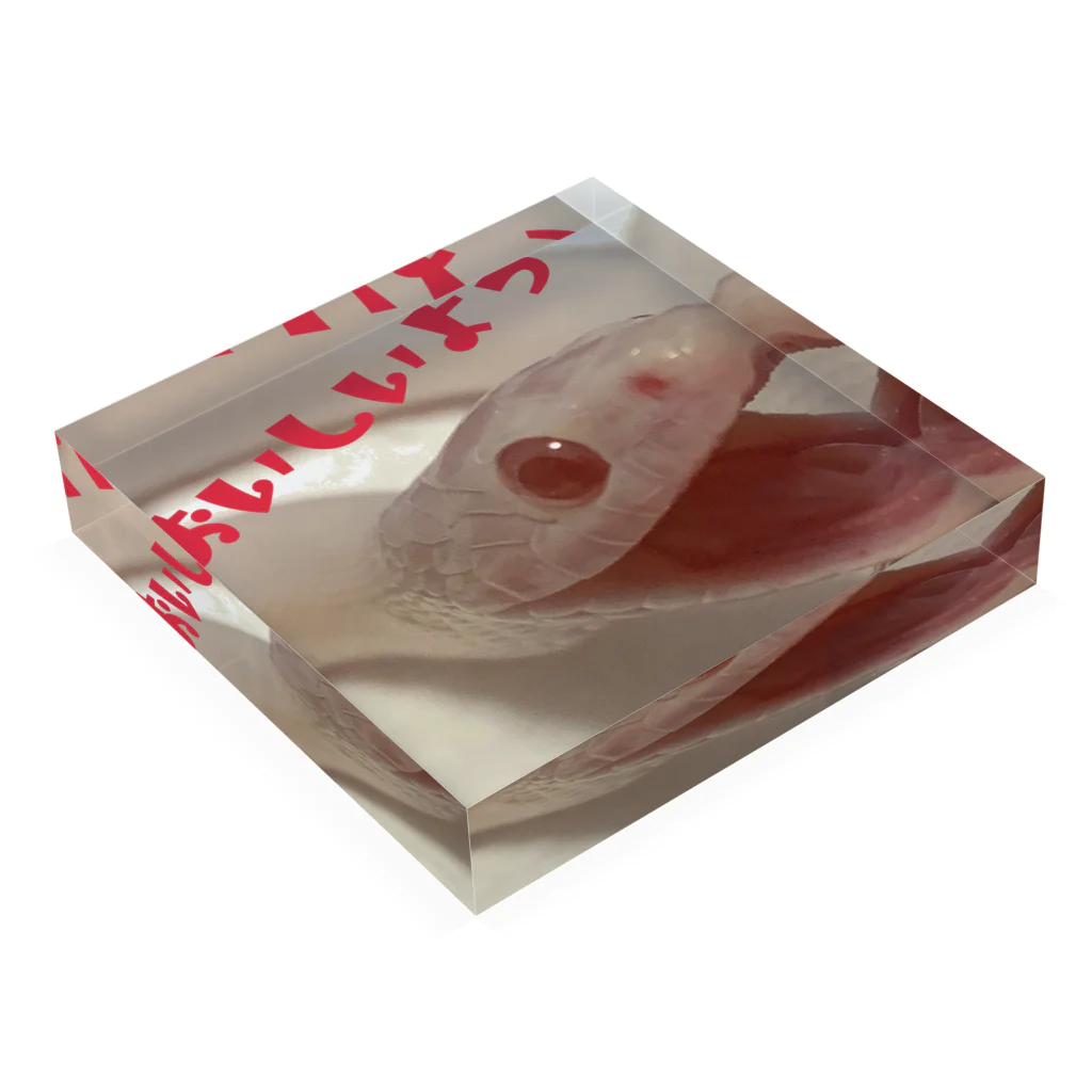 へびも庵のおいしいよっへびもしゃん Acrylic Block :placed flat