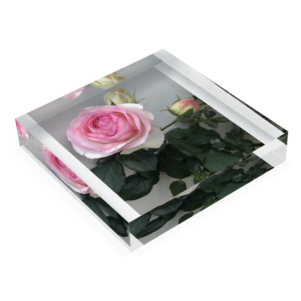 Glowの薔薇 Acrylic Block :placed flat