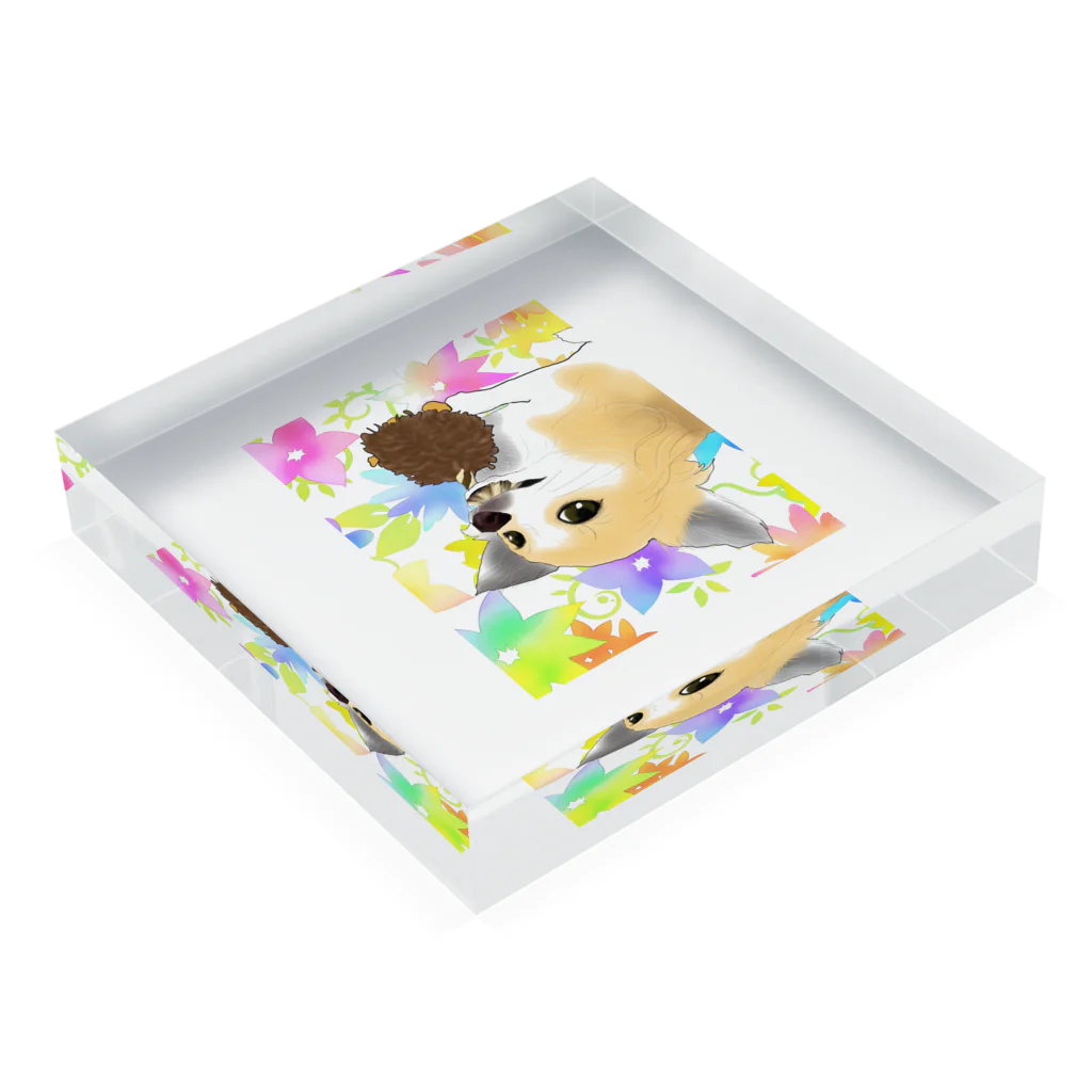 アニマルデザインはなのチワワの幸せ Acrylic Block :placed flat