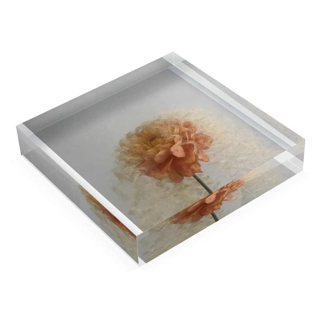 クワモト カツヒコのブロンドヘアの花 Acrylic Block :placed flat