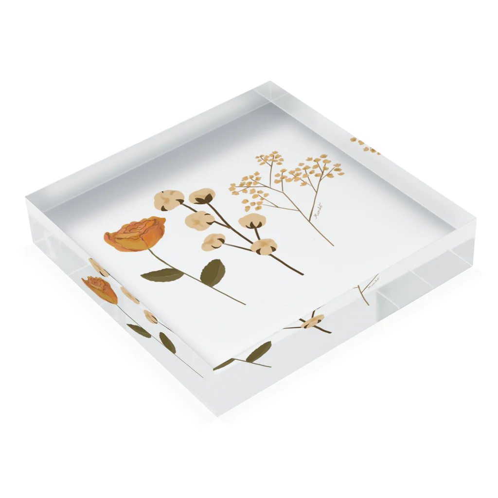 March5 SHOPのDRIED FLOWER Acrylic Block :placed flat