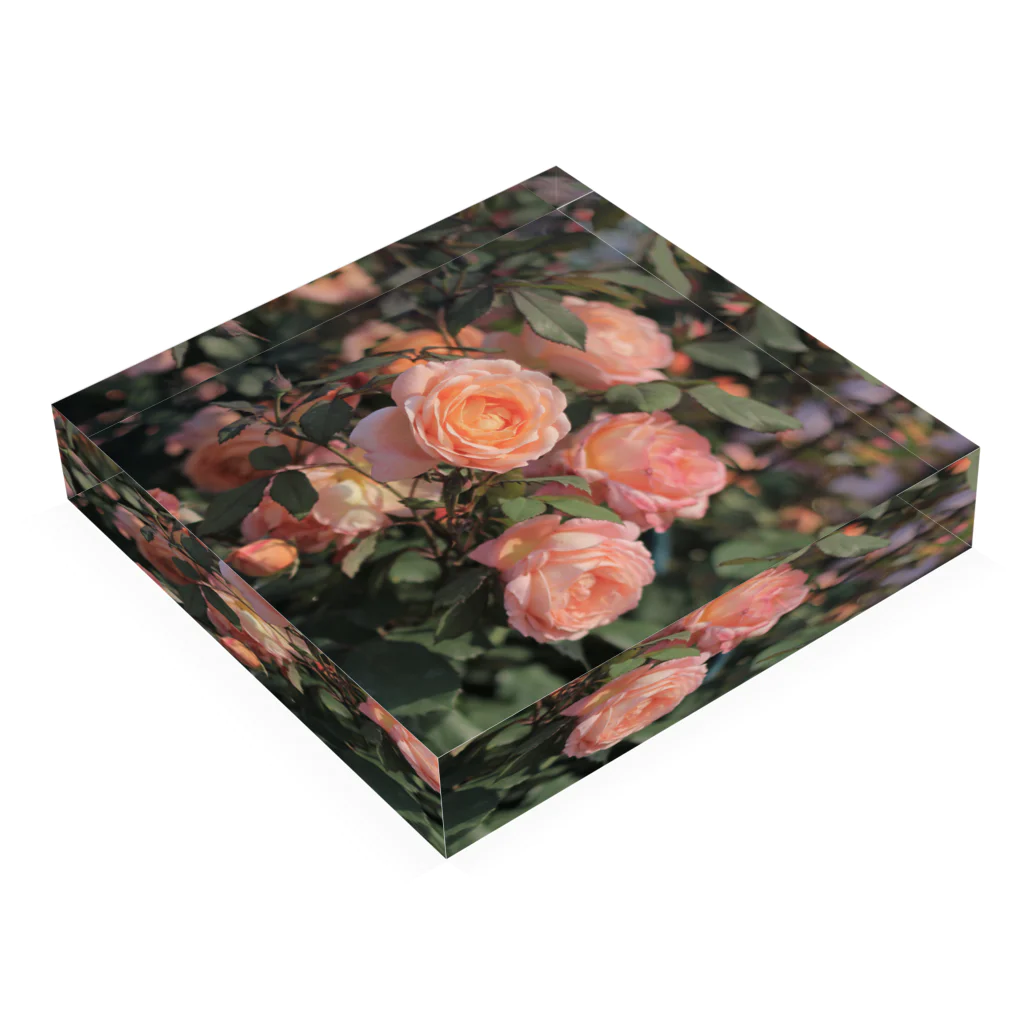 mk-paletのNostalgic rose. Acrylic Block :placed flat