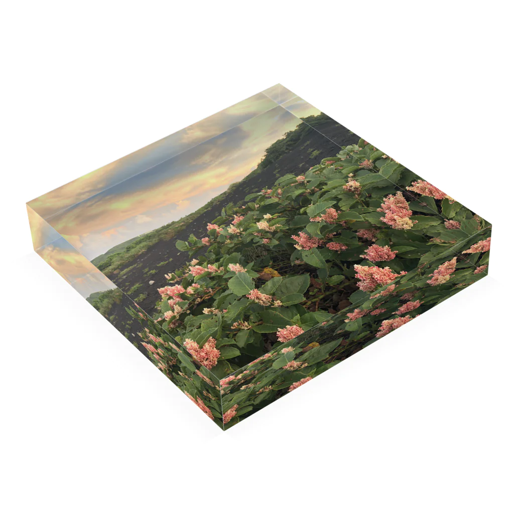 Mumearth Essenceの裏砂漠夕景 Acrylic Block :placed flat