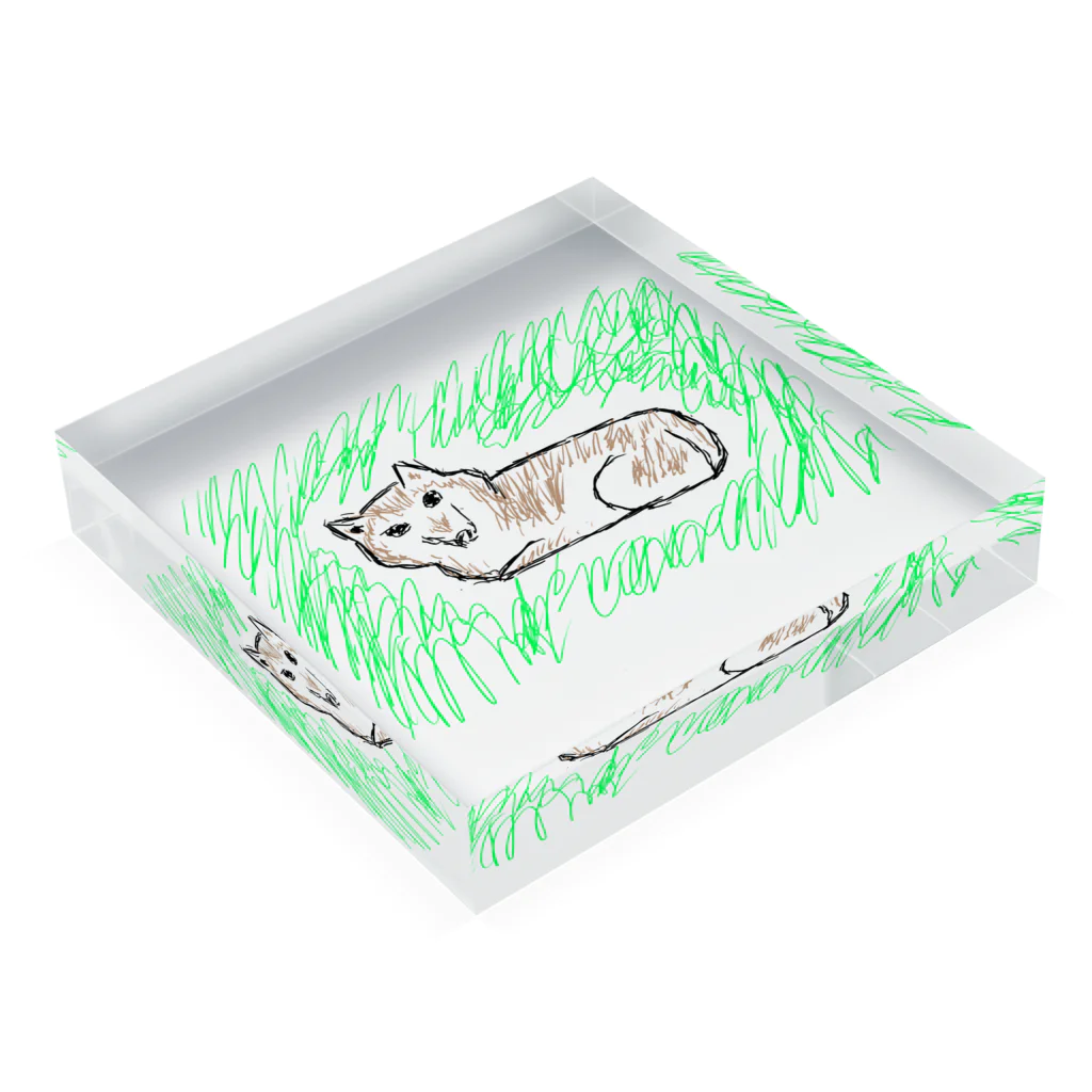 shibadogの柴犬戦士Shiba Acrylic Block :placed flat