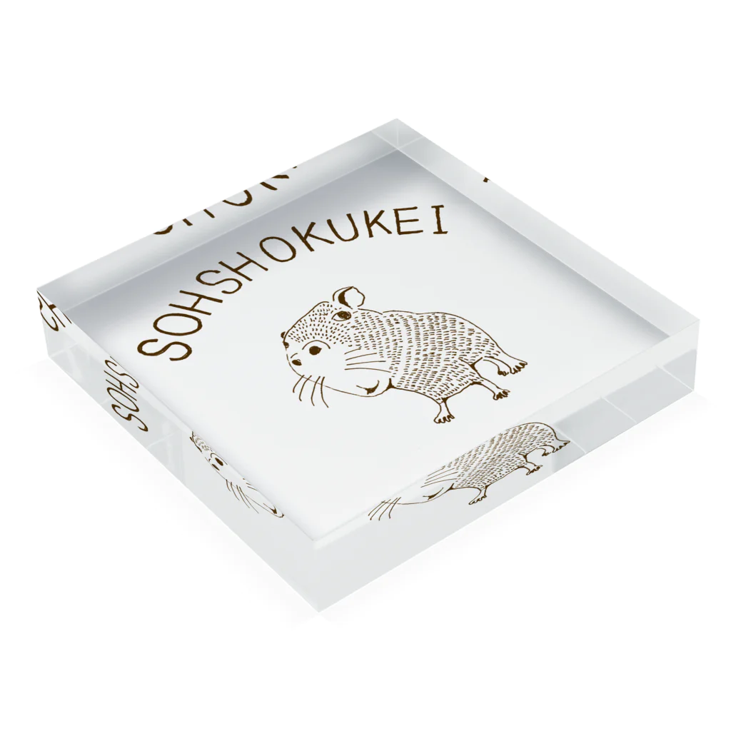 NIKORASU GOのカピバラTシャツ「草食系」 Acrylic Block :placed flat