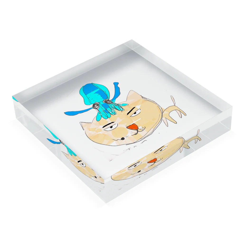 QP-goldのマユヲ Acrylic Block :placed flat