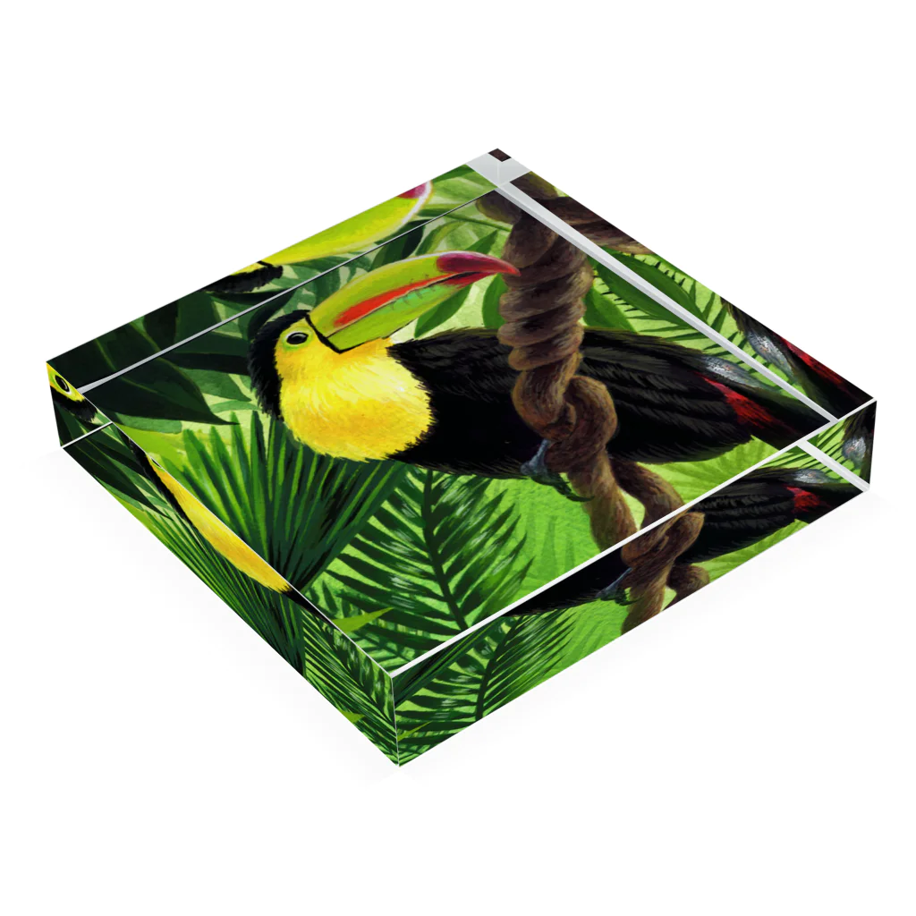 多摩美硬式テニス部フリーマーケットのKeel billed toucan Acrylic Block :placed flat